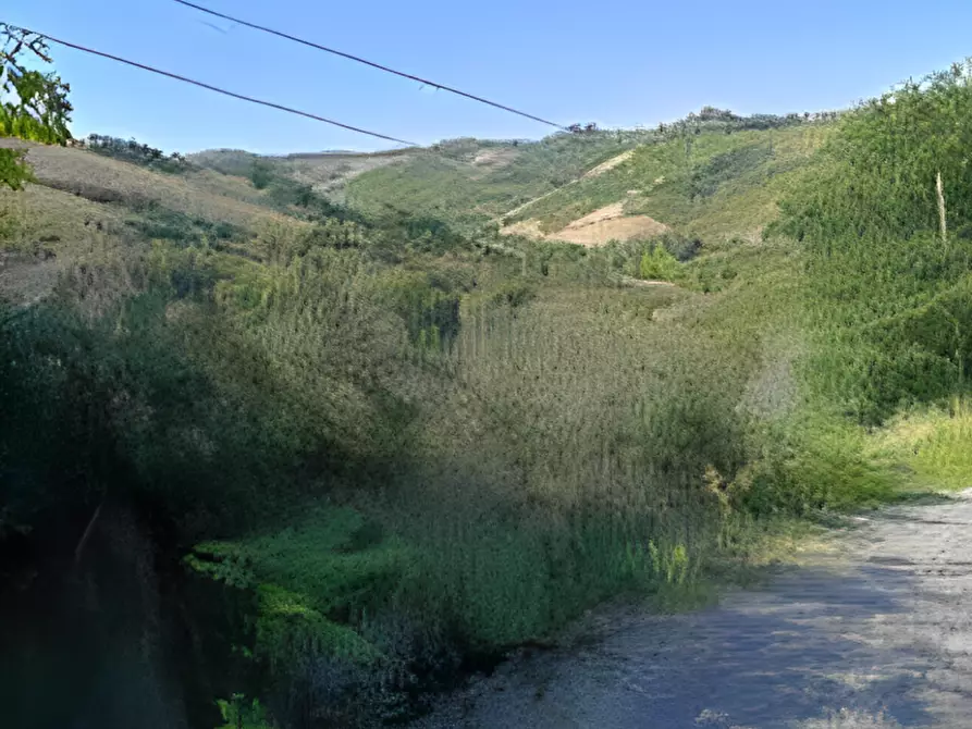 Immagine 4 di Terreno in vendita  in Contrada Sant'Imero a Ripatransone