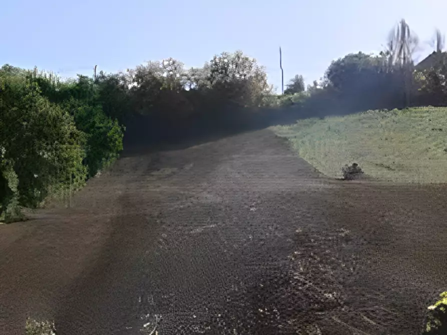 Immagine 6 di Terreno in vendita  in Contrada Sant'Imero a Ripatransone