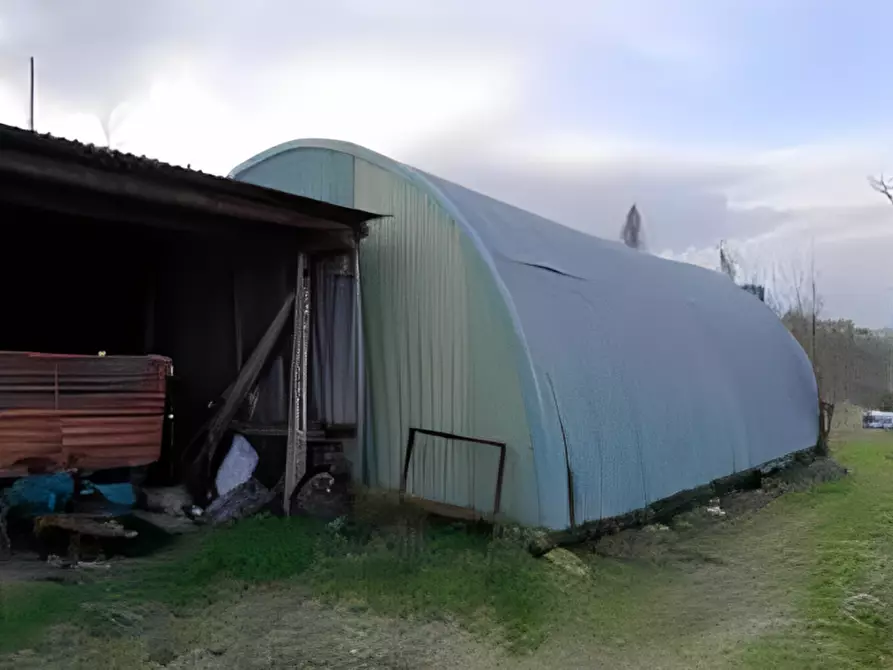 Immagine 7 di Terreno in vendita  in Contrada Sant'Imero a Ripatransone