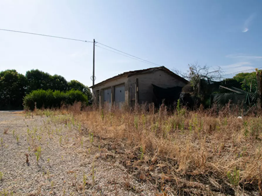 Immagine 5 di Casa indipendente in vendita  a San Giorgio Delle Pertiche