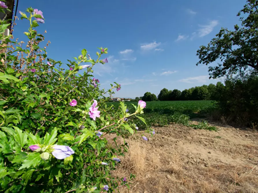 Immagine 7 di Casa indipendente in vendita  a San Giorgio Delle Pertiche