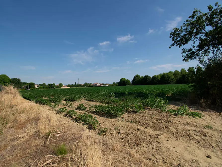 Immagine 8 di Casa indipendente in vendita  a San Giorgio Delle Pertiche