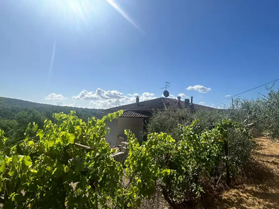 Immagine 29 di Casa indipendente in vendita  in Migliaiolo a Panicale