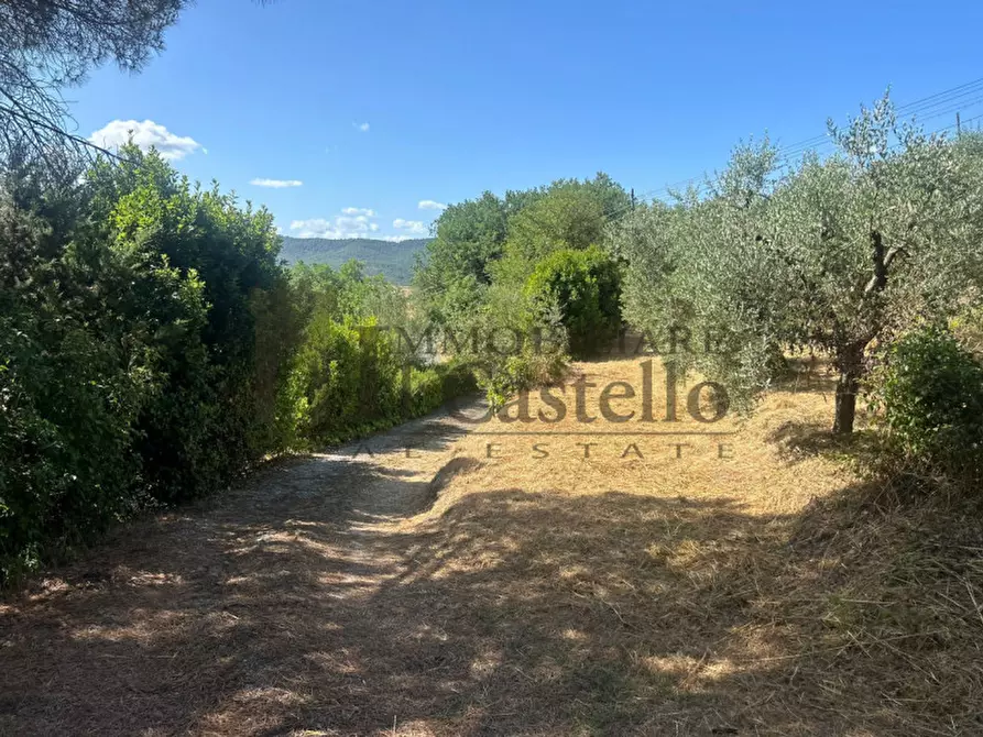 Immagine 39 di Casa indipendente in vendita  in Migliaiolo a Panicale