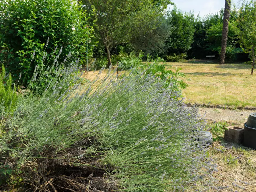 Immagine 37 di Villa in vendita  in Via San Giovanni Bosco 15 a Lambrugo