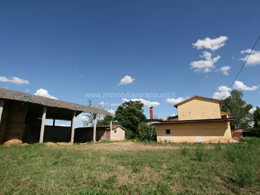 Immagine 3 di Casa indipendente in vendita  a Torrita Di Siena