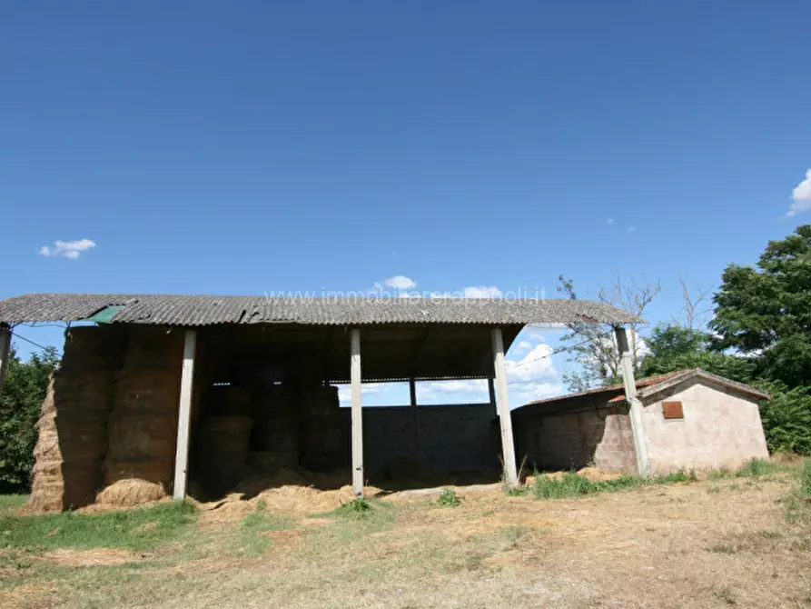 Immagine 4 di Casa indipendente in vendita  a Torrita Di Siena