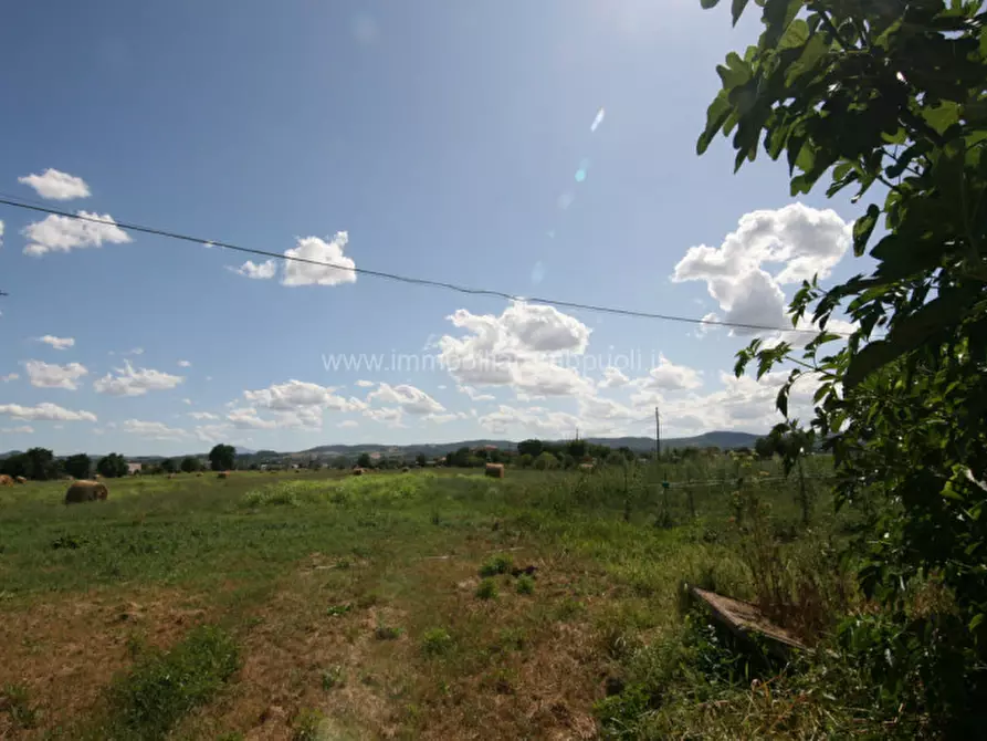 Immagine 6 di Casa indipendente in vendita  a Torrita Di Siena