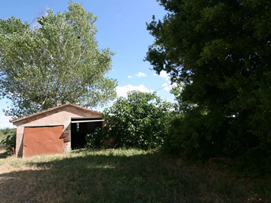 Immagine 7 di Casa indipendente in vendita  a Torrita Di Siena