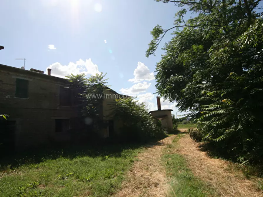 Immagine 14 di Casa indipendente in vendita  a Torrita Di Siena