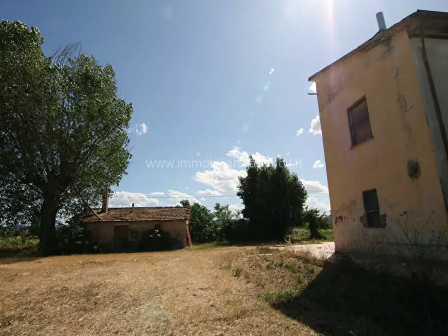 Immagine 16 di Casa indipendente in vendita  a Torrita Di Siena