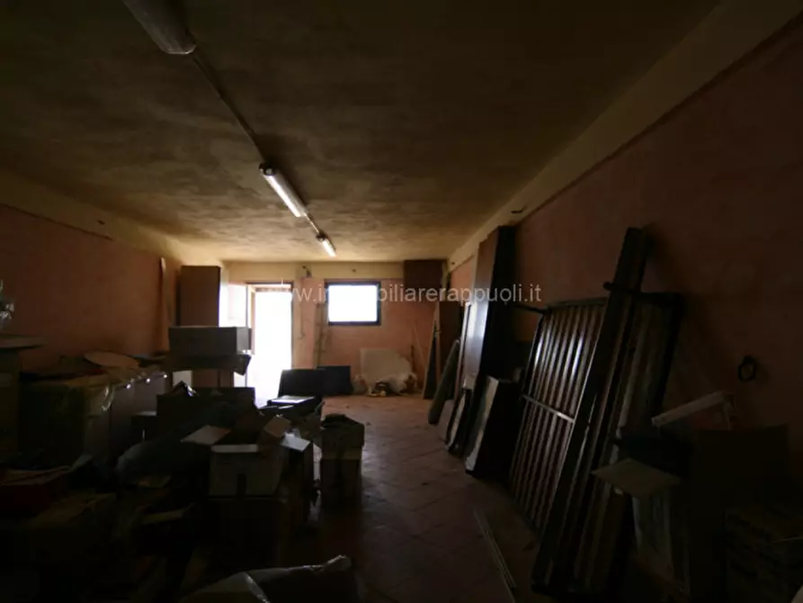 Immagine 51 di Casa indipendente in vendita  a Torrita Di Siena