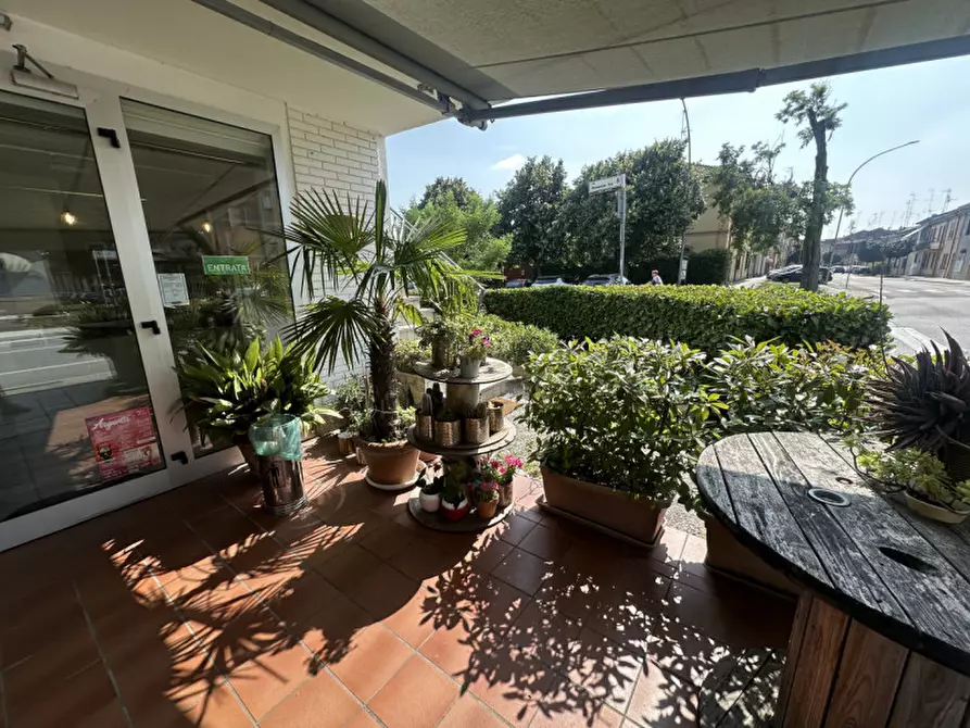 Immagine 12 di Attività commerciale in vendita  in Via Giacomo Matteotti 58 a Argenta