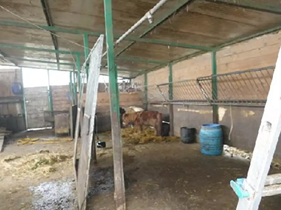 Immagine 3 di Terreno in vendita  in Via Giacinto Longhin, 267 a Roncade