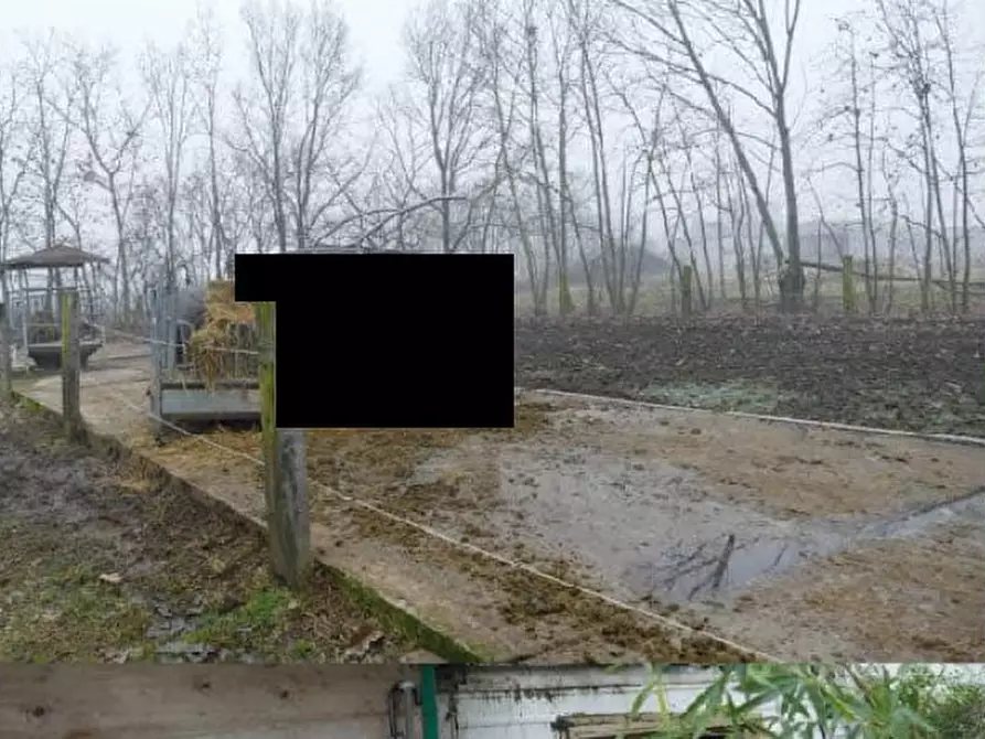 Immagine 4 di Terreno in vendita  in Via Giacinto Longhin, 267 a Roncade