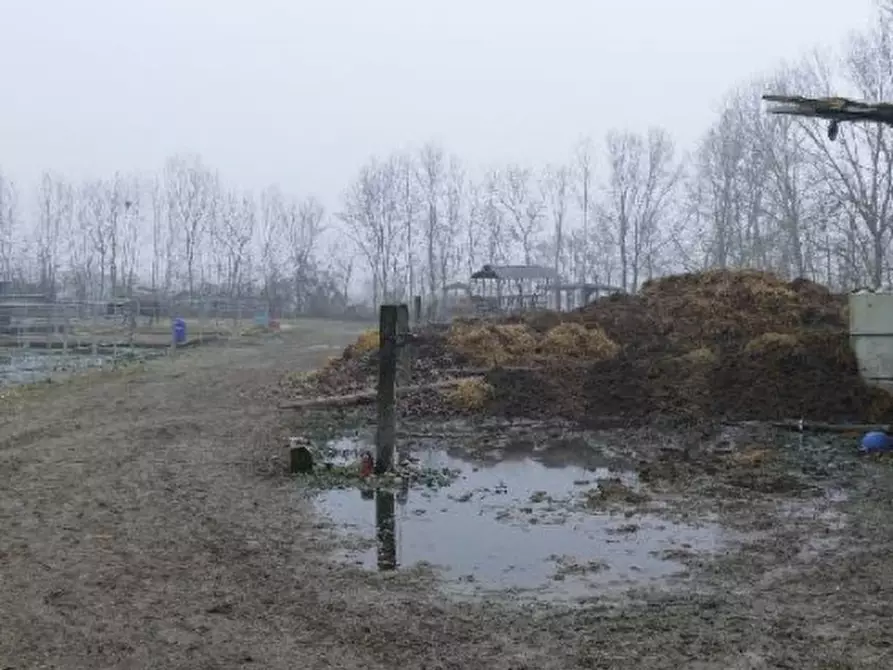 Immagine 5 di Terreno in vendita  in Via Giacinto Longhin, 267 a Roncade