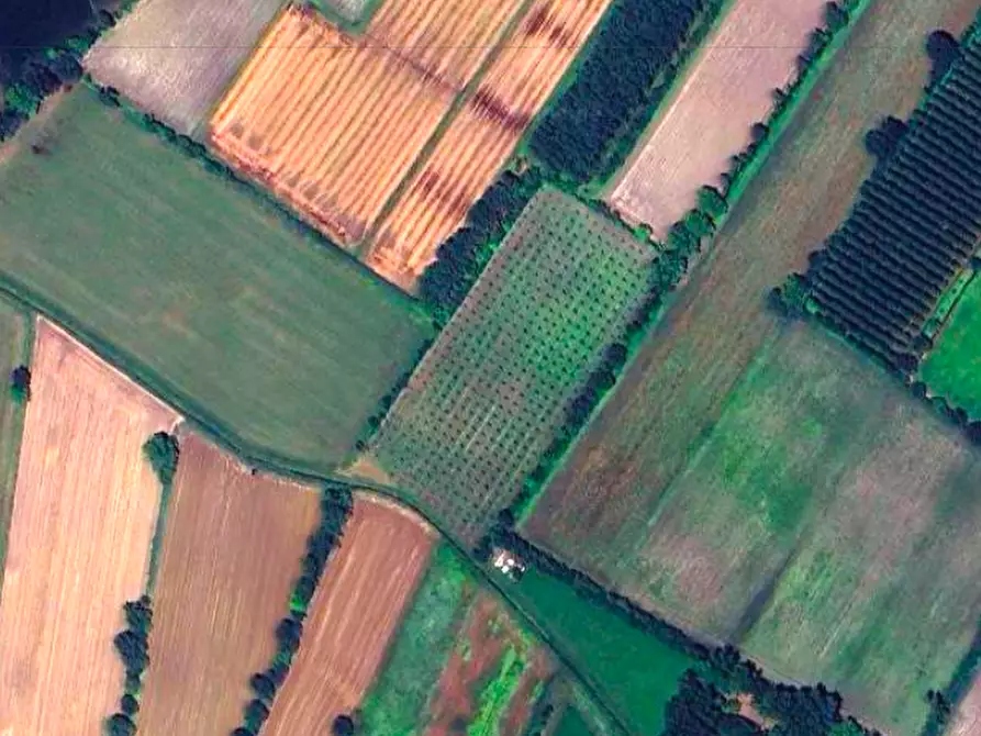 Immagine 1 di Terreno in vendita  a Piombino Dese