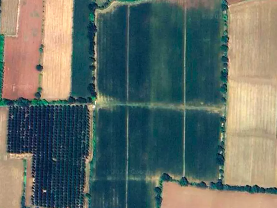 Immagine 2 di Terreno in vendita  a Piombino Dese