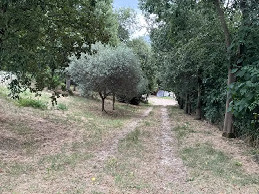 Immagine 1 di Terreno in vendita  a Albettone