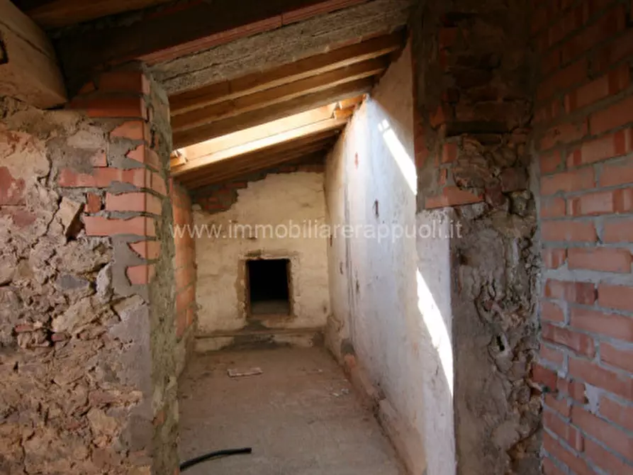 Immagine 9 di Appartamento in vendita  a Sinalunga