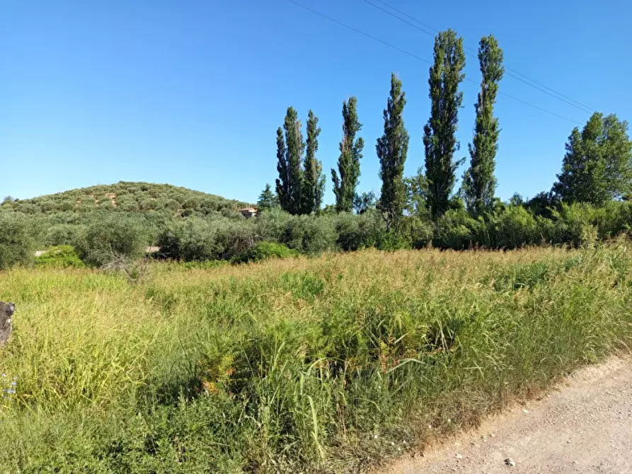 mansarda in vendita a Palombara Sabina