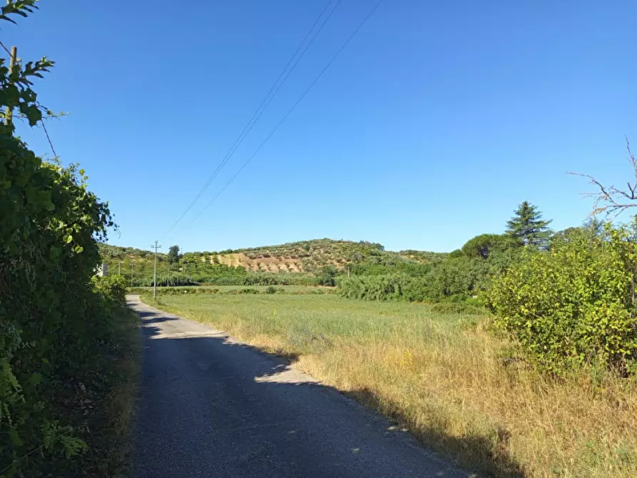 Immagine 2 di Terreno in vendita  in strada del laghetto a Palombara Sabina