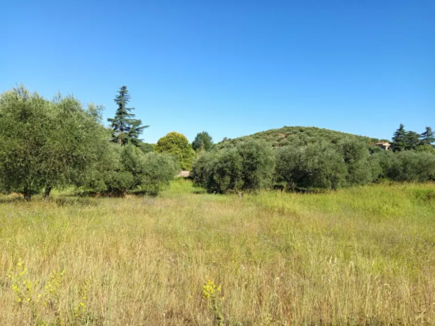 Immagine 3 di Terreno in vendita  in strada del laghetto a Palombara Sabina