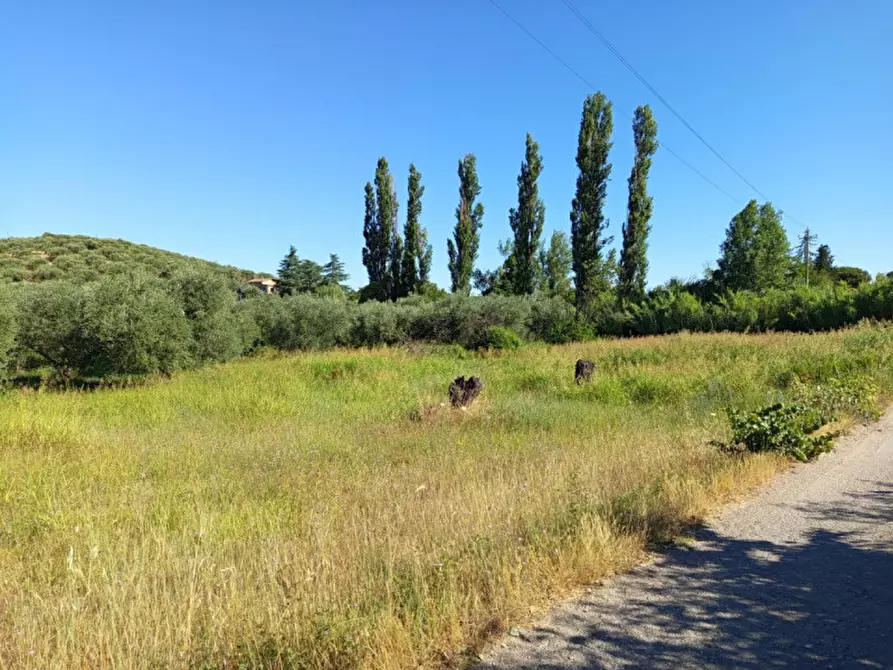 Immagine 4 di Terreno in vendita  in strada del laghetto a Palombara Sabina