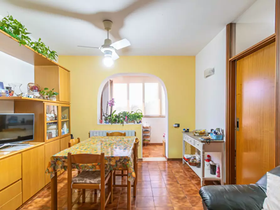 Immagine 6 di Appartamento in vendita  in Via Carlo Collodi a Castel Maggiore