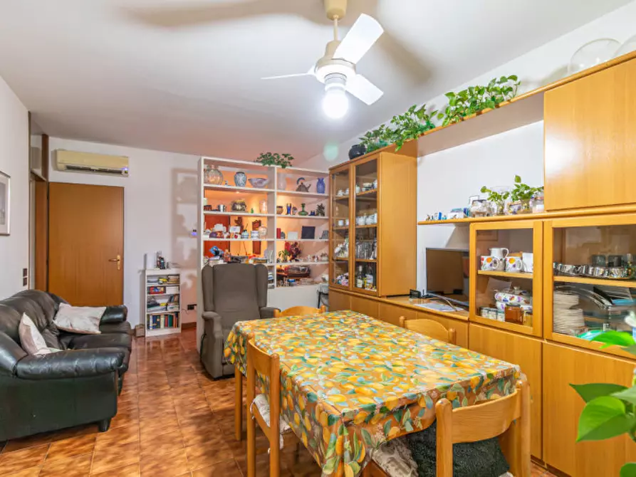 Immagine 9 di Appartamento in vendita  in Via Carlo Collodi a Castel Maggiore