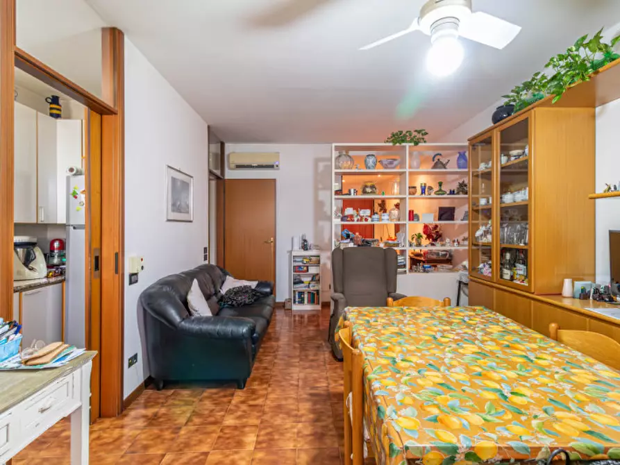 Immagine 10 di Appartamento in vendita  in Via Carlo Collodi a Castel Maggiore