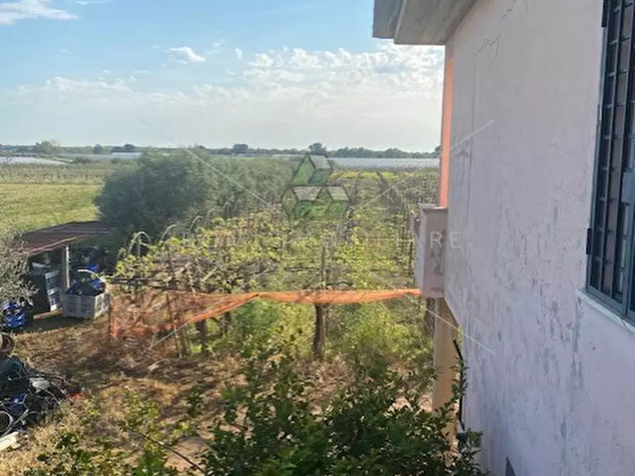 Immagine 19 di Villa in vendita  in Via Della Cooperativa a Latina