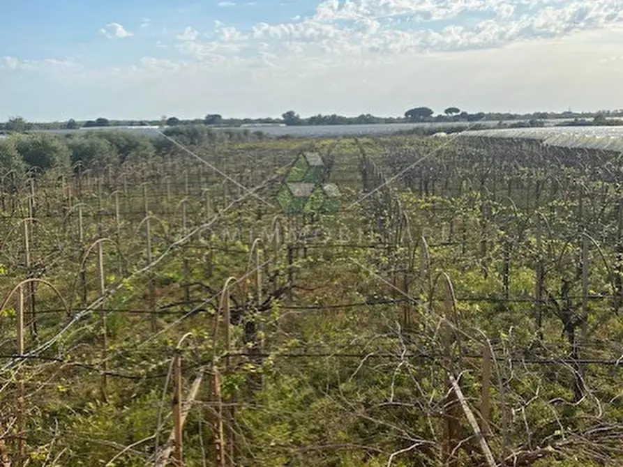 Immagine 20 di Villa in vendita  in Via Della Cooperativa a Latina