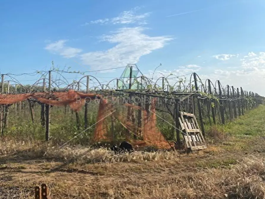 Immagine 22 di Villa in vendita  in Via Della Cooperativa a Latina