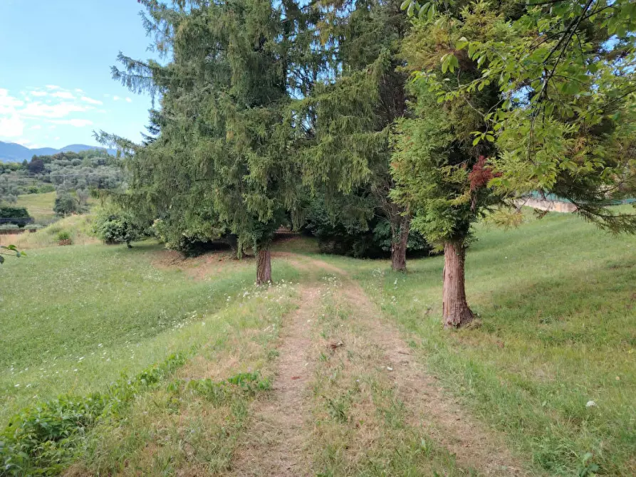 Immagine 2 di Casa indipendente in vendita  a Mussolente