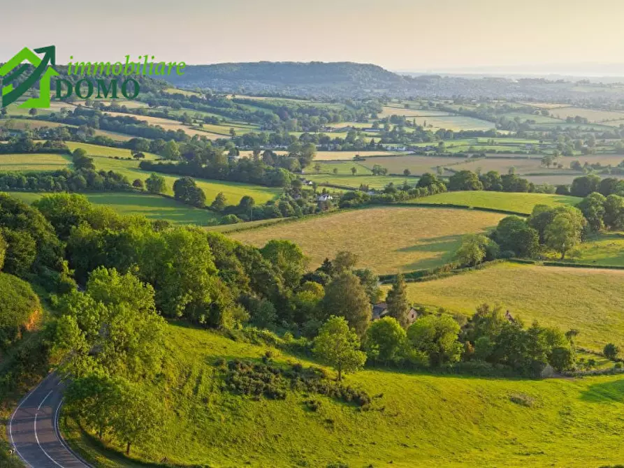 Immagine 2 di Terreno in vendita  in Via Astico a Caltrano