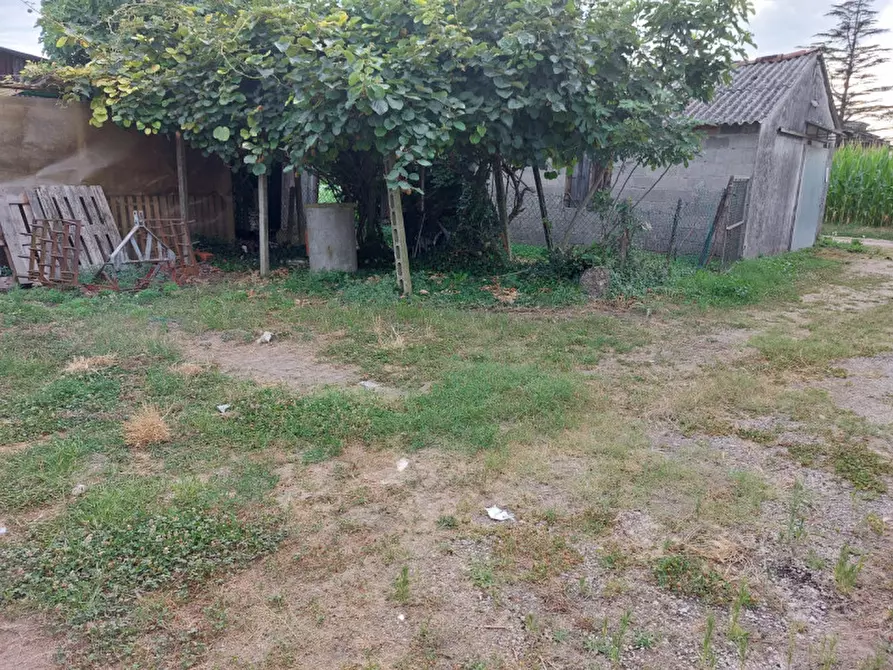 Immagine 5 di Rustico / casale in vendita  a Castelbaldo