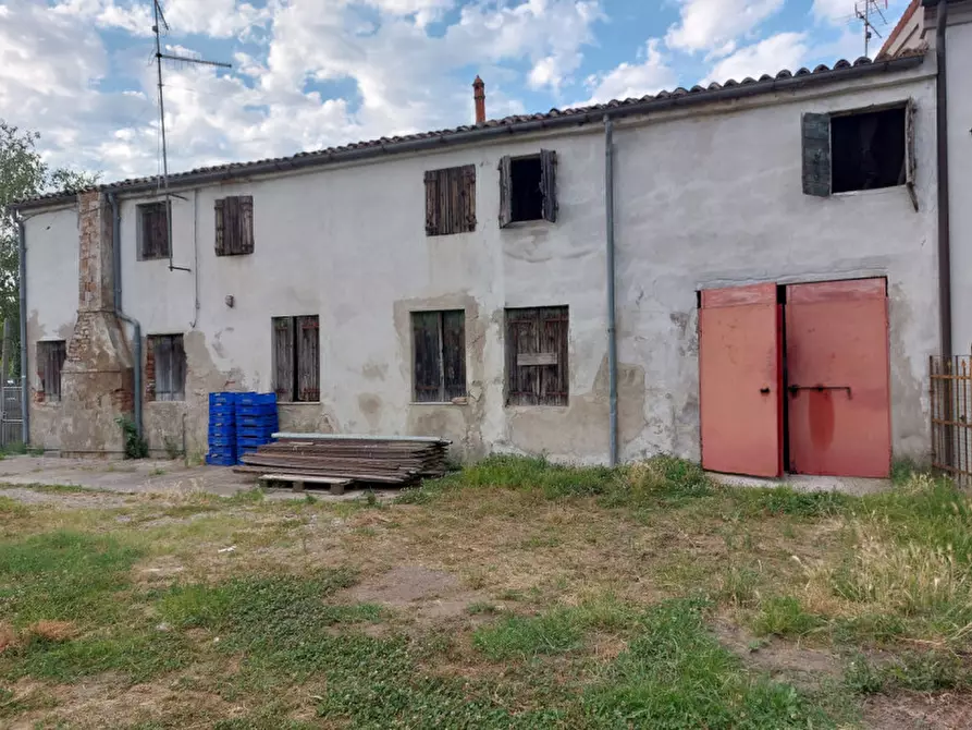 Immagine 6 di Rustico / casale in vendita  a Castelbaldo