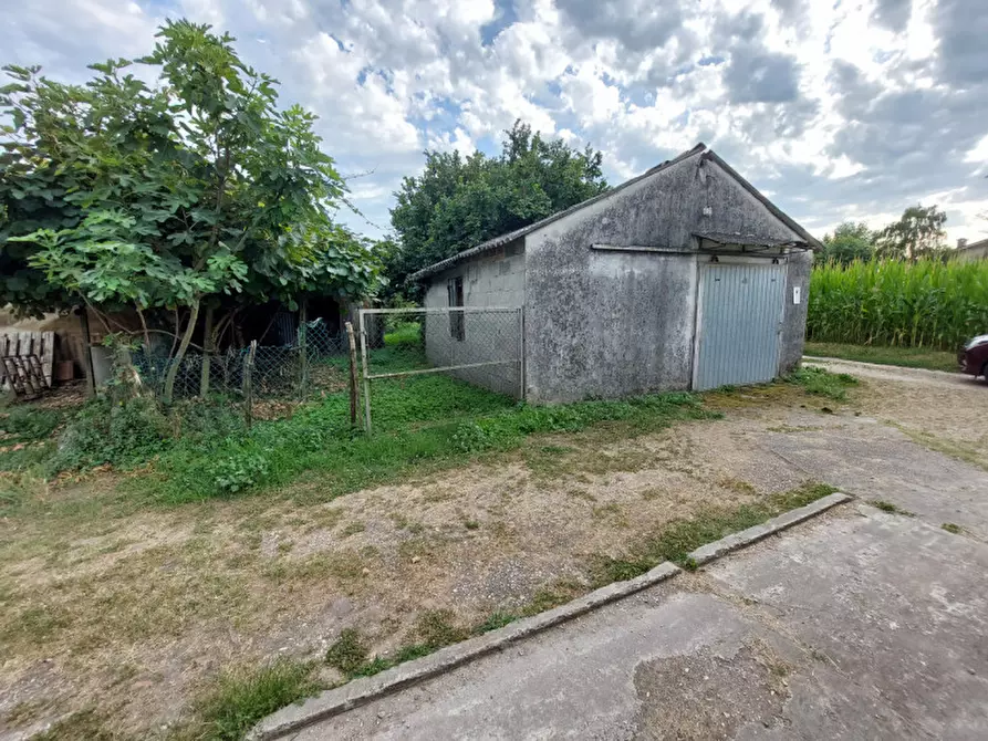 Immagine 7 di Rustico / casale in vendita  a Castelbaldo