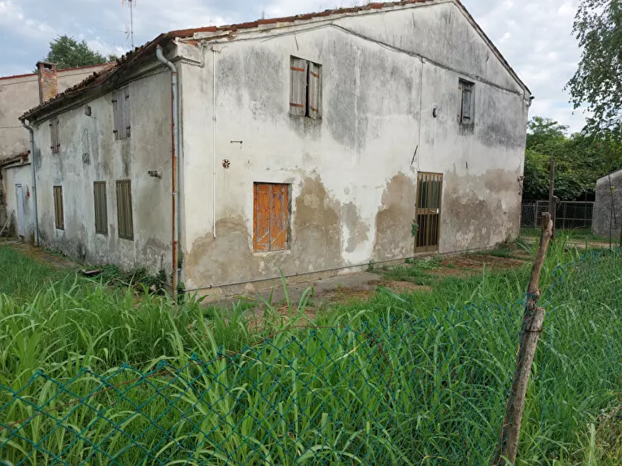Immagine 9 di Rustico / casale in vendita  a Castelbaldo