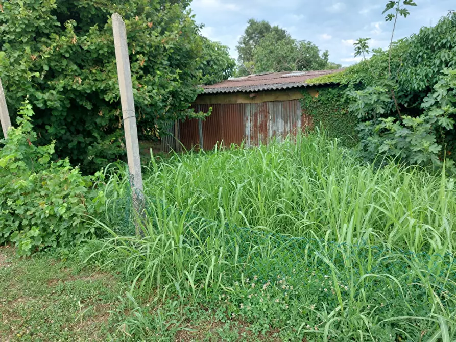 Immagine 10 di Rustico / casale in vendita  a Castelbaldo