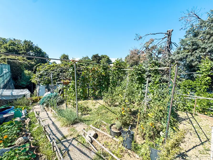 Immagine 35 di Casa bifamiliare in vendita  in via di mezzo 4 a Stresa