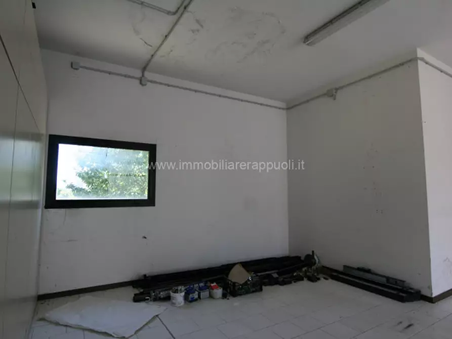 Immagine 5 di Laboratorio in affitto  a Sinalunga