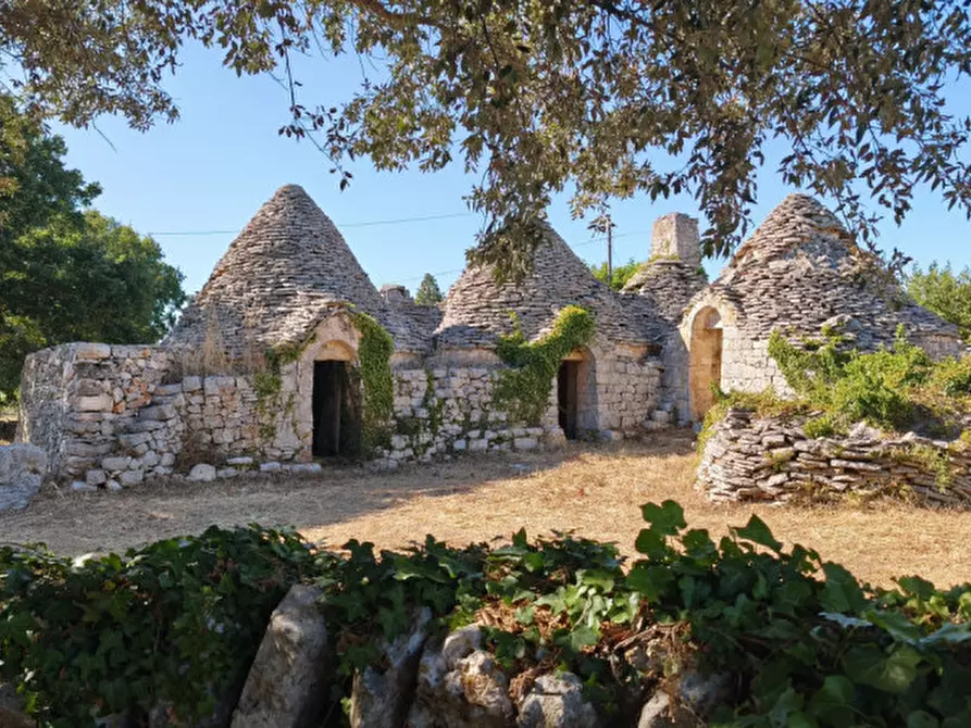 Immagine 2 di Rustico / casale in vendita  a Locorotondo