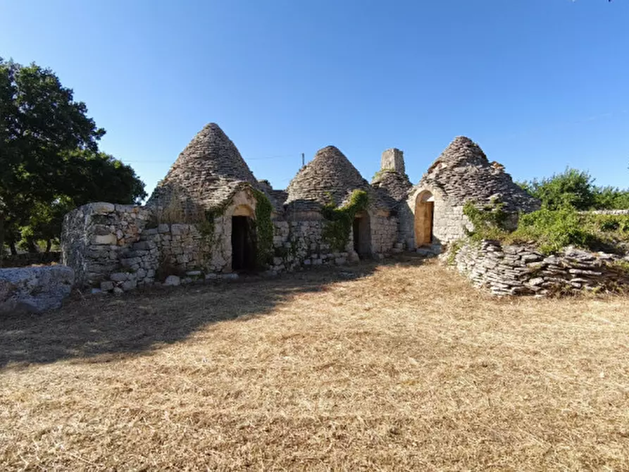 Immagine 3 di Rustico / casale in vendita  a Locorotondo