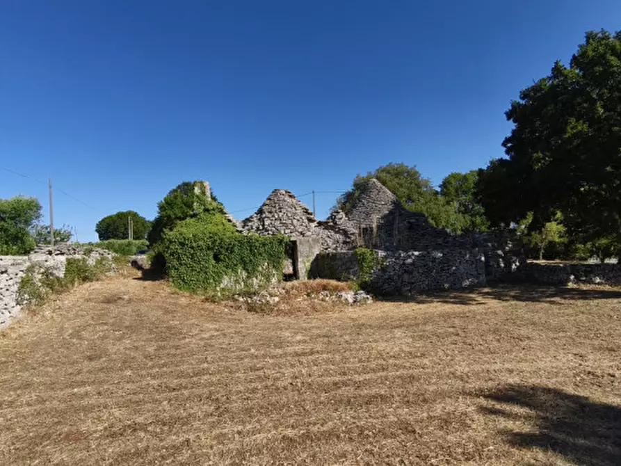Immagine 6 di Rustico / casale in vendita  a Locorotondo