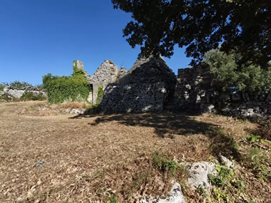 Immagine 7 di Rustico / casale in vendita  a Locorotondo