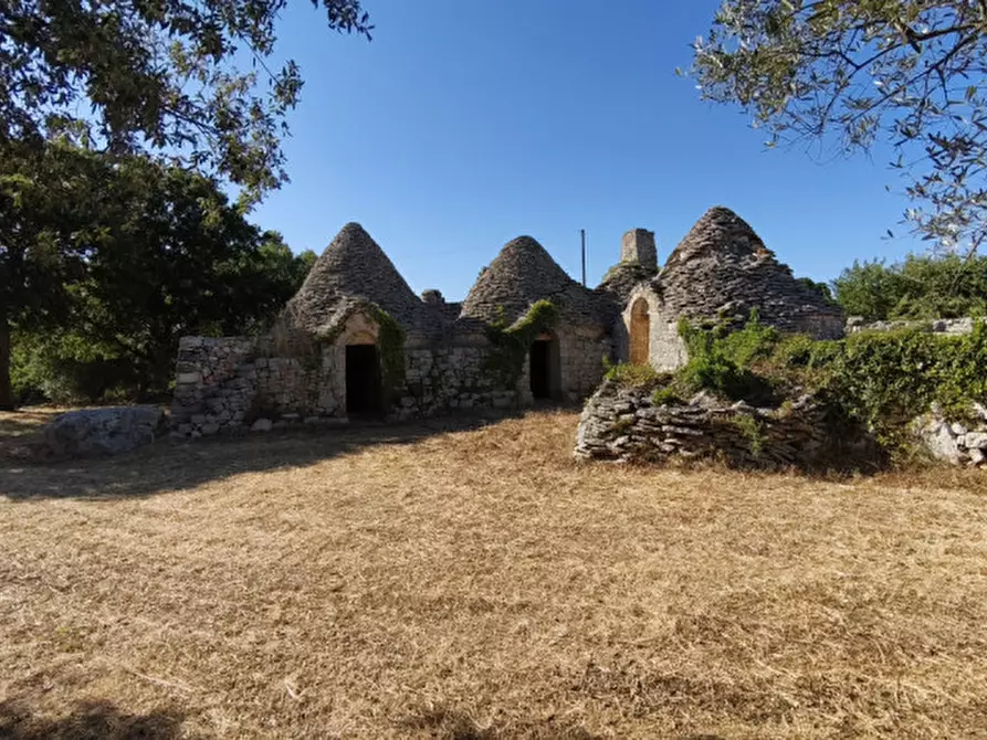 Immagine 8 di Rustico / casale in vendita  a Locorotondo