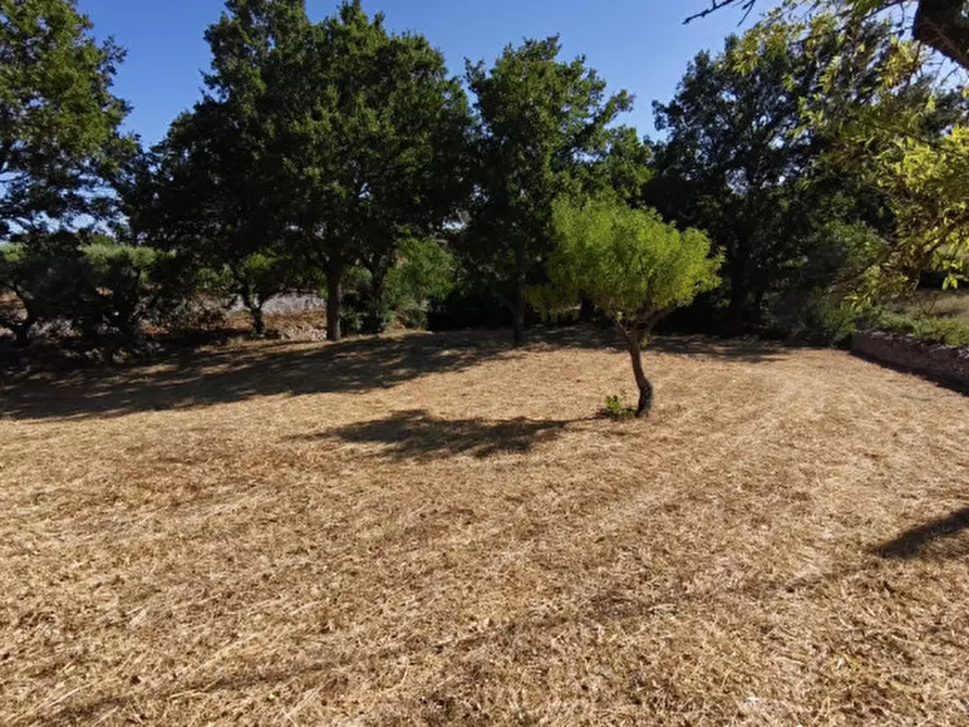 Immagine 9 di Rustico / casale in vendita  a Locorotondo