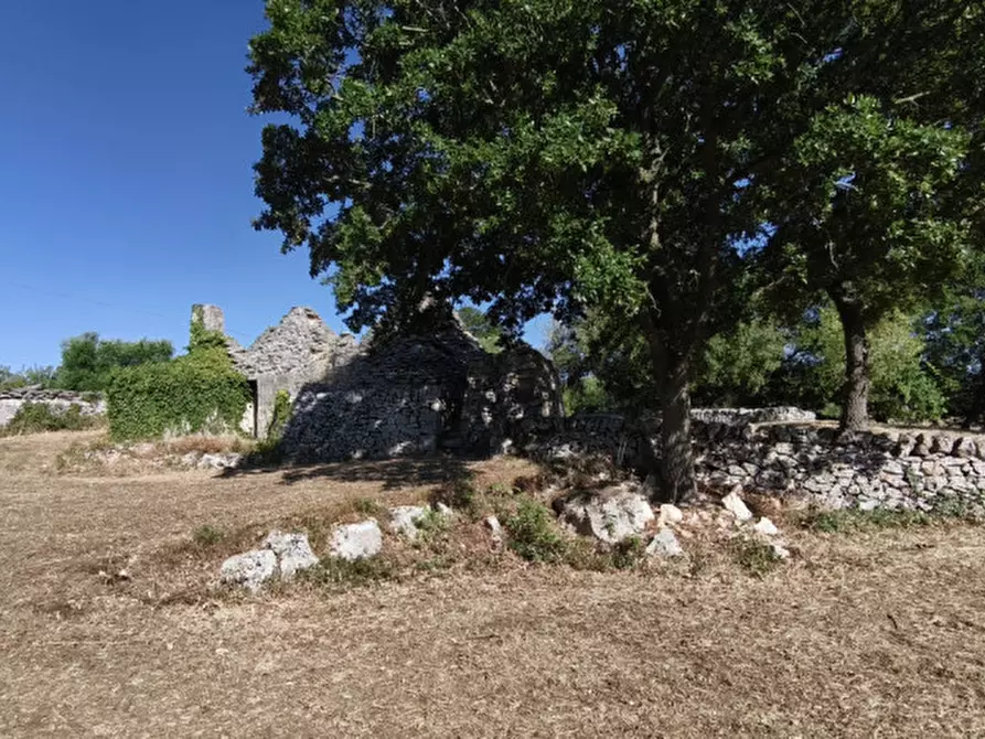 Immagine 10 di Rustico / casale in vendita  a Locorotondo